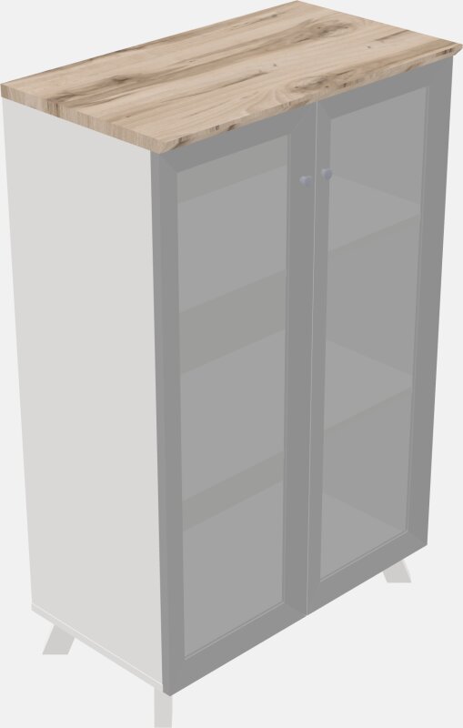 Storage Cabinet - With Wooden Doors