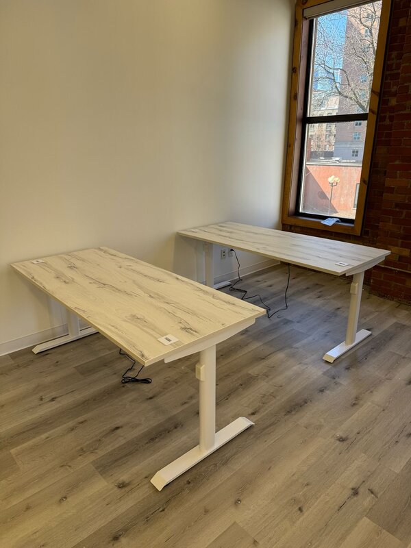Dual motor electric desk