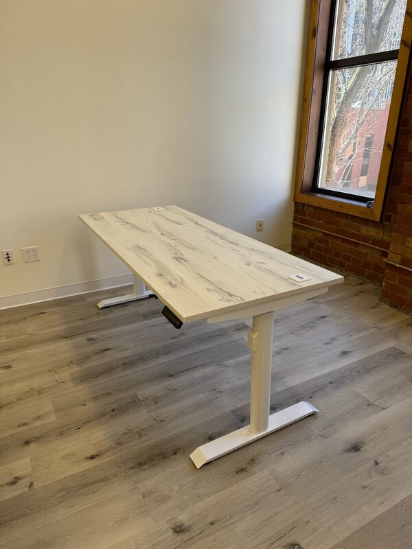 Dual motor electric desk