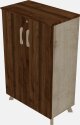 Storage Cabinet - With Wooden Doors