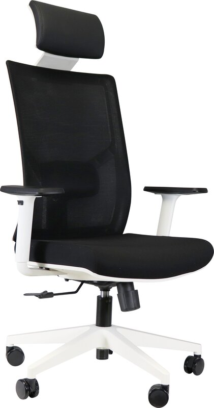 In our latest blog post, we delve into the world of ergonomic excellence with a focus on office chairs designed specifically for individuals weighing up to 150kg. Explore our carefully curated selection of chairs that not only prioritize comfort but also provide the essential support needed for long hours of work. We highlight innovative features, durable materials, and stylish designs that cater to both functionality and aesthetics. Whether you're working from home or in a bustling office, find out how the right chair can transform your workspace into a haven of productivity and well-being. Join us as we guide you through the best options that combine strength, style, and superior comfort, ensuring you can sit back and focus on what truly matters.