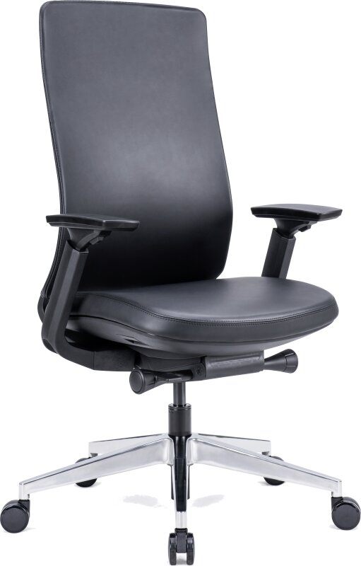 Upgrade your office space with our exceptional black office chair. Designed for both comfort and style, this sleek and modern chair will elevate your workspace to the next level. With its ergonomic design and durable construction, you'll experience unparalleled support and productivity. Don't settle for ordinary, choose our black office chair for an extraordinary work experience.