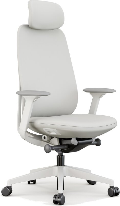 Discover the future of office aesthetics with our latest blog post on cream office chairs. As the workplace evolves, so does the need for furniture that combines style, comfort, and functionality. Our exploration delves into the innovative designs and ergonomic features of cream office chairs, showcasing how they can elevate your workspace into a haven of productivity and sophistication. Embrace the trend of soft, neutral tones that not only enhance your office decor but also promote a calming atmosphere. Join us as we pioneer the conversation on how the right office chair can redefine your work experience, blending modern design with timeless elegance.