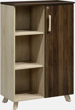 Medium height cabinet with swinging door