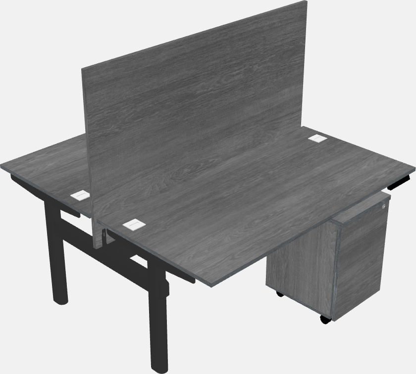 Shared electric desk