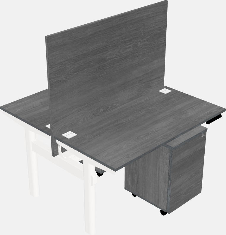 Shared electric desk