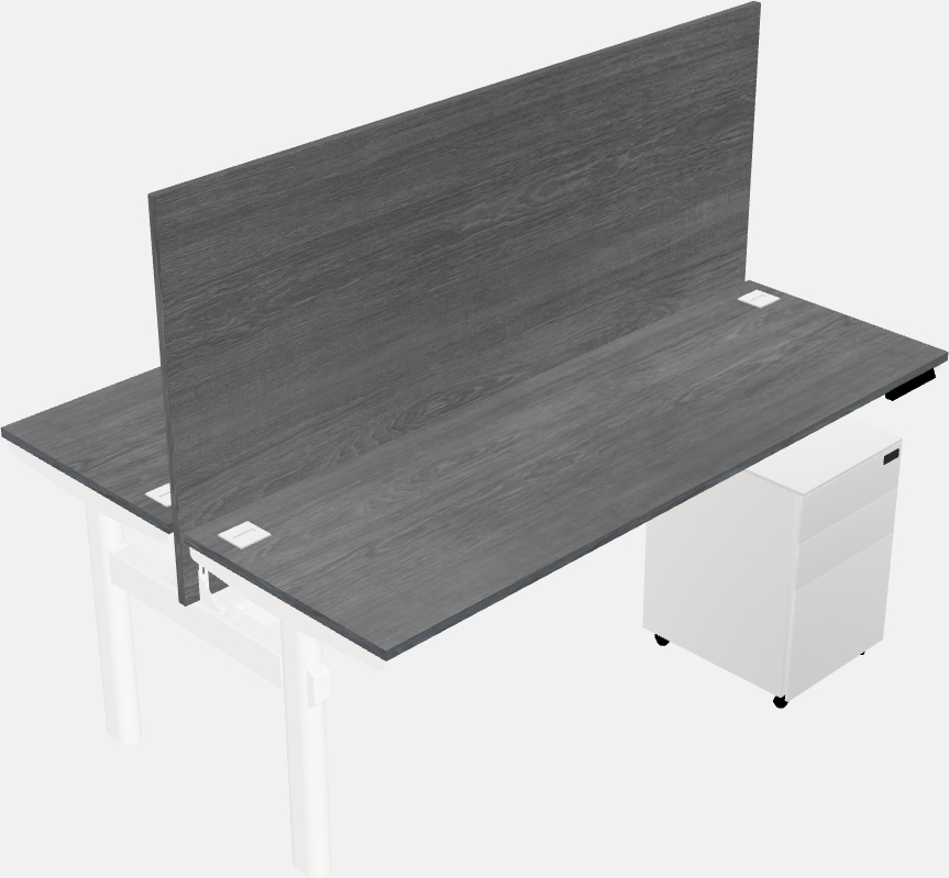 Shared electric desk