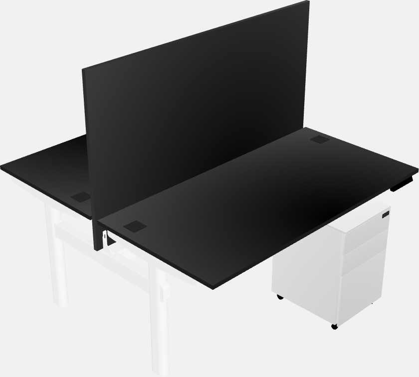 Shared electric desk