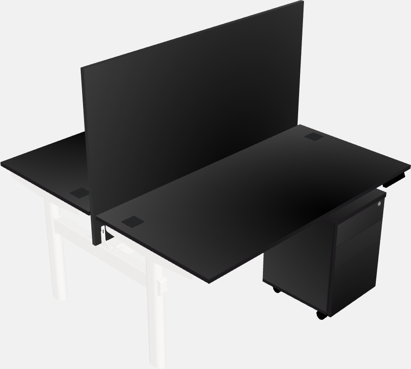 Shared electric desk