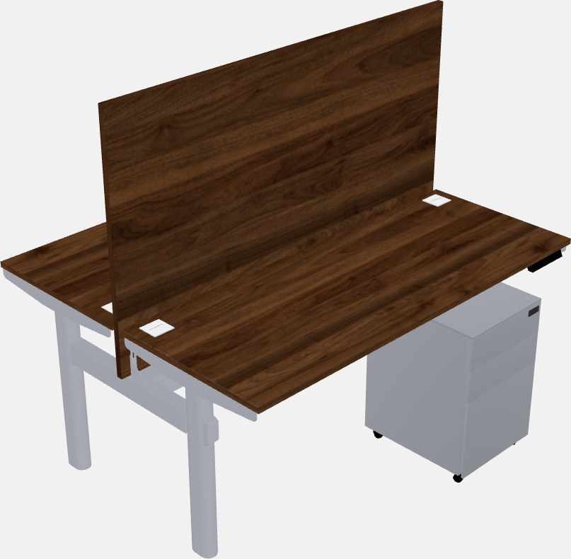 Shared electric desk