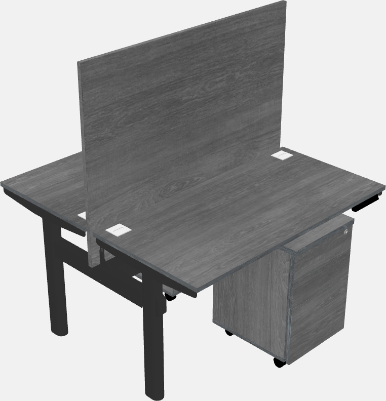 Shared electric desk