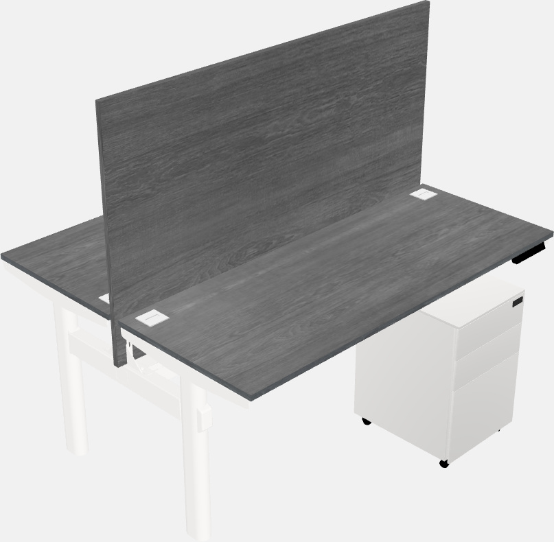 Shared electric desk