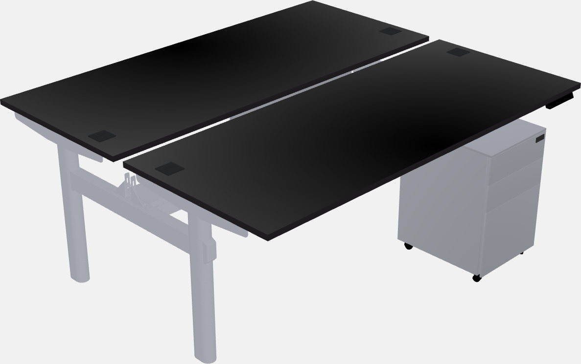 Shared electric desk