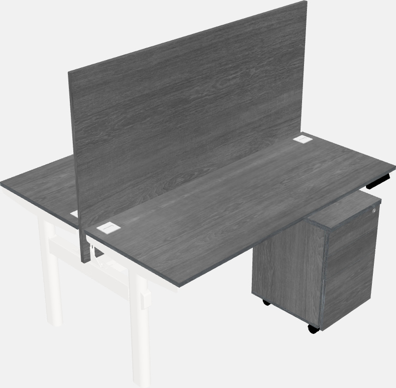 Shared electric desk