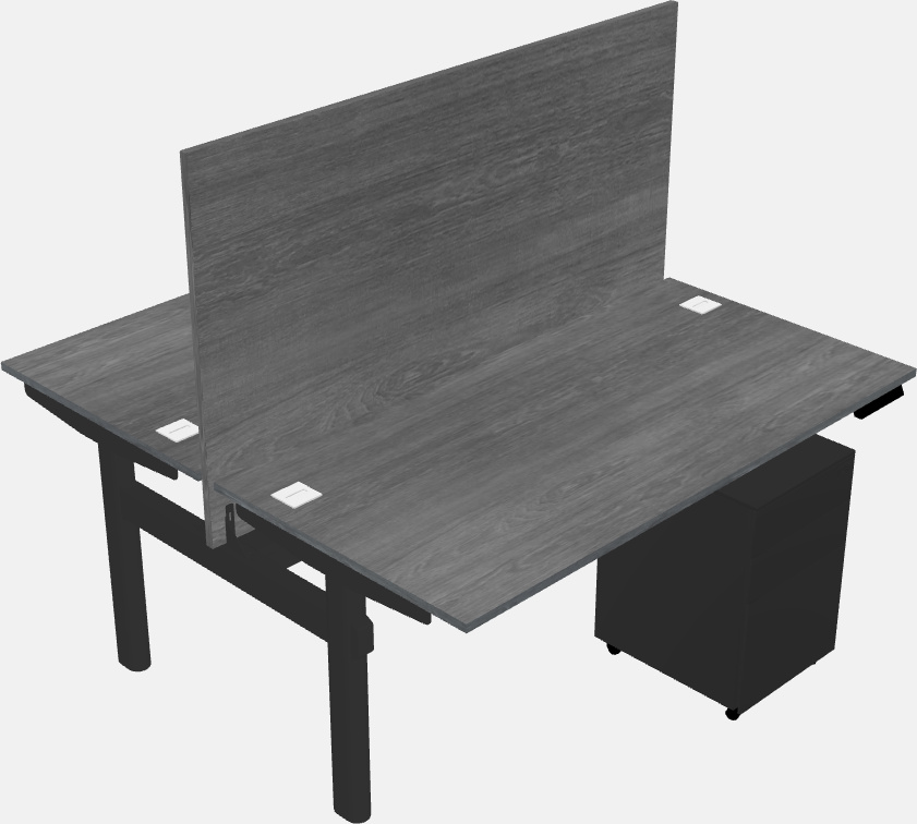 Shared electric desk