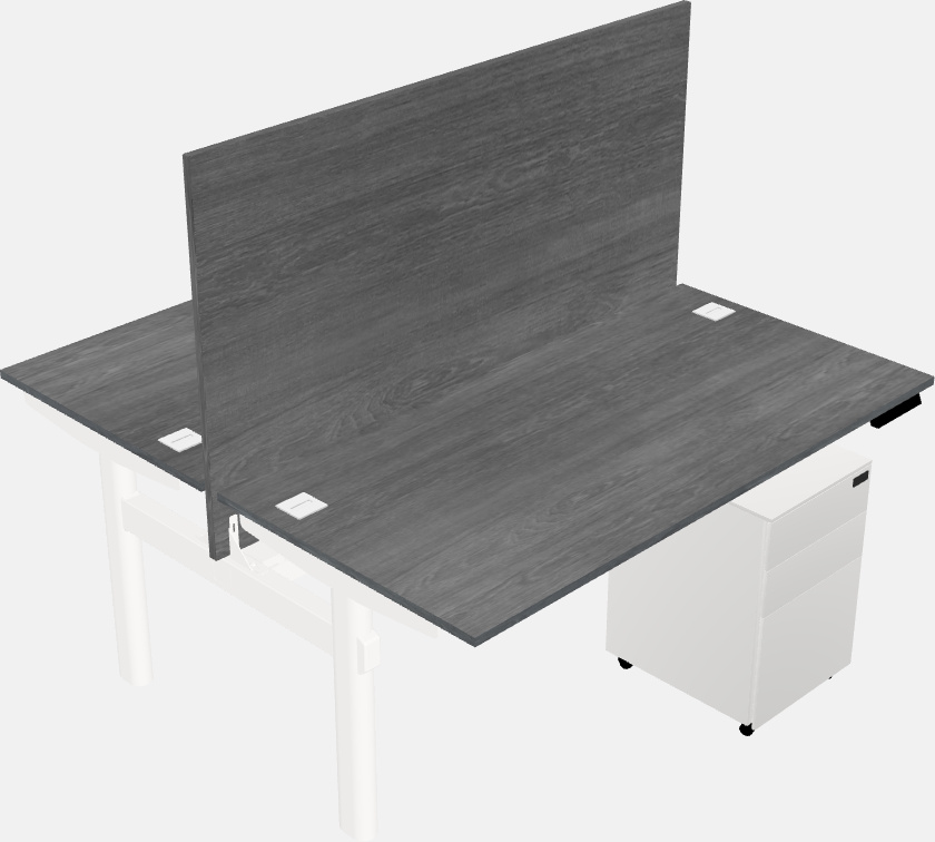 Shared electric desk