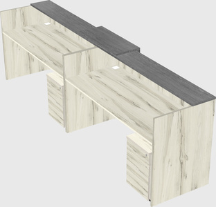 Shared u-shaped reception desks
