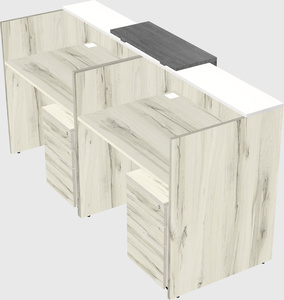 Shared u-shaped reception desks