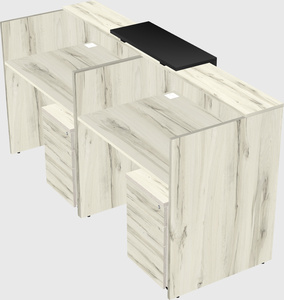 Shared u-shaped reception desks