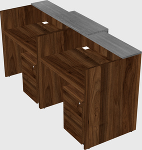 Shared u-shaped reception desks