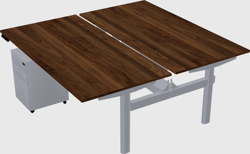 Shared electric desk