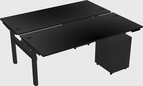 Shared electric desk