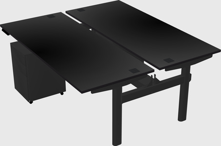 Shared electric desk