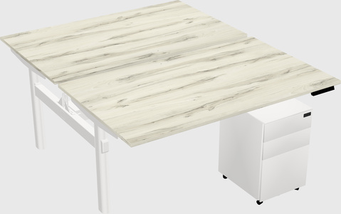 Shared electric desk
