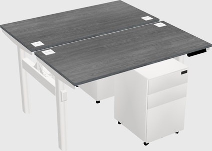 Shared electric desk