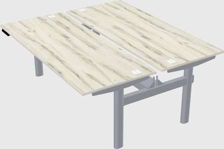 Shared electric desk