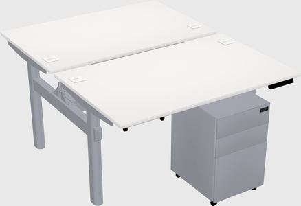Shared electric desk