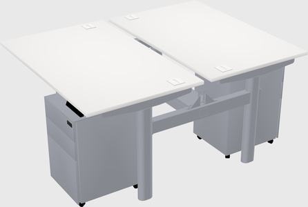 Shared electric desk