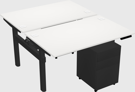 Shared electric desk