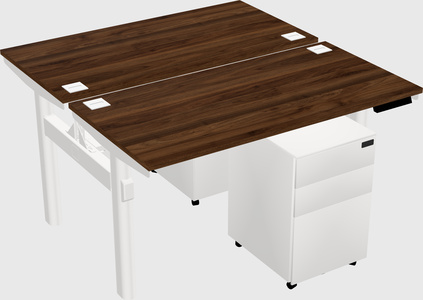 Shared electric desk