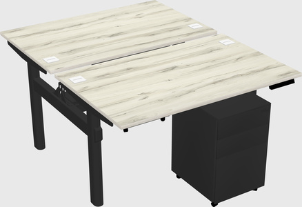 Shared electric desk
