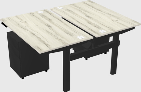 Shared electric desk