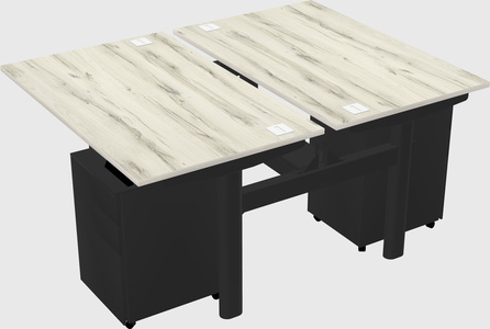 Shared electric desk