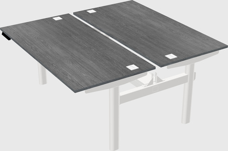 Shared electric desk