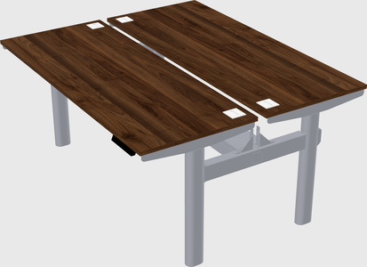 Shared electric desk