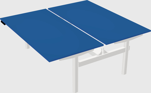 Shared electric desk