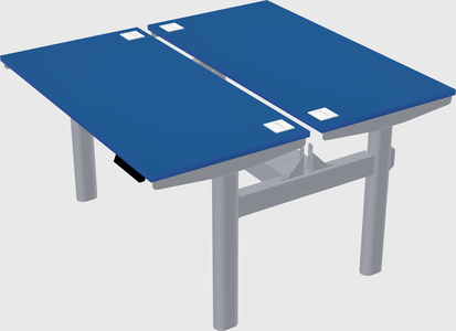 Shared electric desk