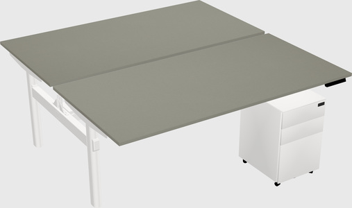 Shared electric desk