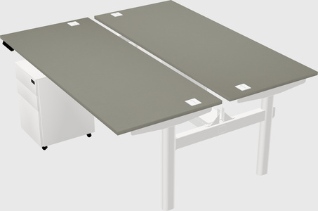 Shared electric desk