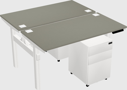 Shared electric desk