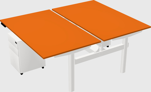 Shared electric desk