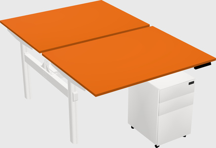 Shared electric desk