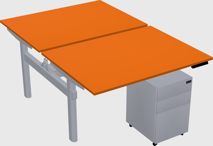 Shared electric desk