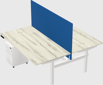 Shared electric desk