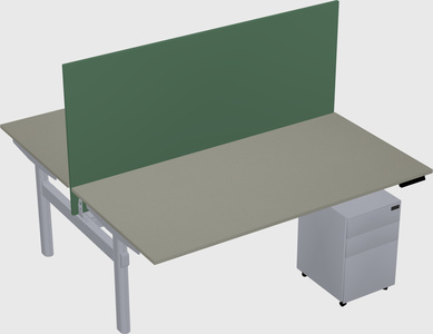 Shared electric desk