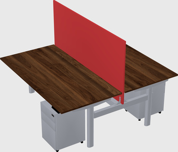 Shared electric desk